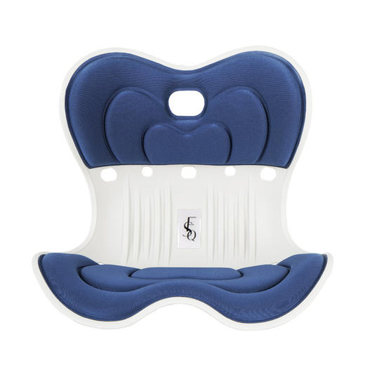 思菲其护腰靠垫/坐垫 商品图5