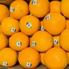 美国进口甜橙  9.8/个（大果）纯甜 商品缩略图1