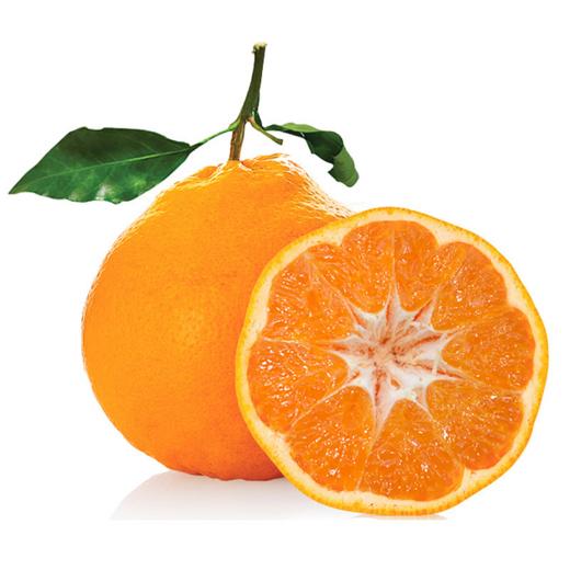 甄甜春见粑粑柑 商品图0