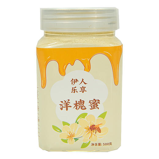 【洋槐蜜】蜂蜜纯正天然结晶农家自产洋槐蜜 500g/瓶 商品图3