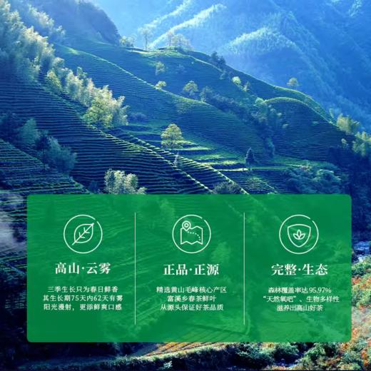 谢裕大黄山毛峰盛世5000系列听装65g 商品图3