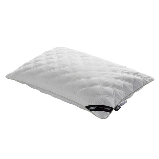 【春上新】10楼 安睡宝 多针绗缝立体全荞麦枕 吊牌价459-699元/只 活动价259-359元/只 商品图1