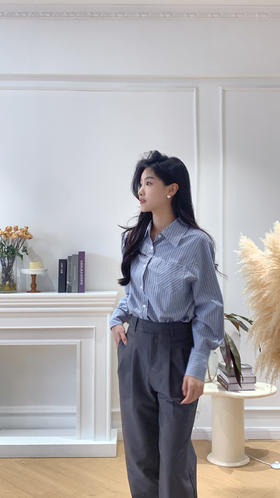 衬衫家族的高颜值代表