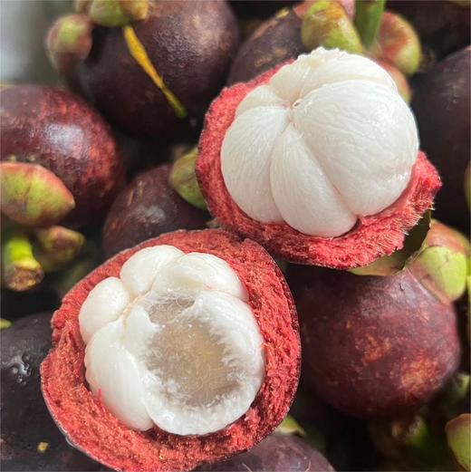 泰国老树麻竹 商品图4