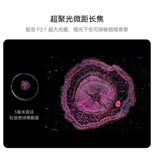 华为HUAWEI Pura 70 Pro+ 超高速风驰闪拍 超聚光微距长焦 双卫星通信 华为P70智能手机 商品图4