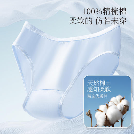 【无菌级】Freego「彩色」7A抗菌纯棉一次性内裤男女款「缤纷生活活出自我」 商品图3