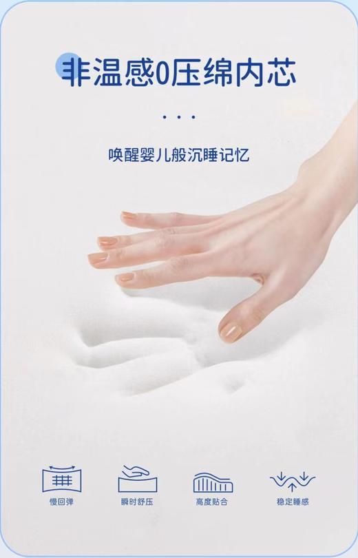 【春上新】10楼 梦百合 梦想家0压枕 吊牌价359元/只 活动价305元/只 商品图2