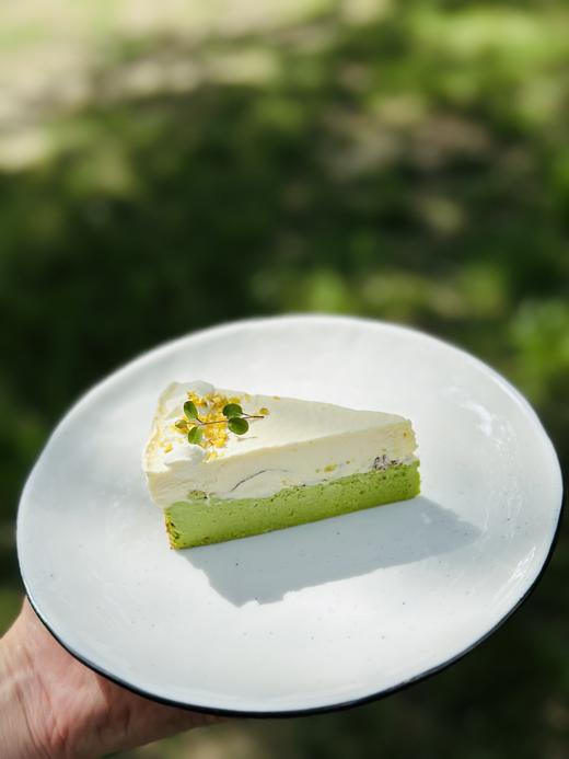 开心果柚子巴斯克 商品图2