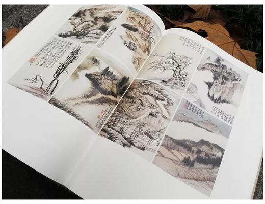 【特价包邮】清湘老人书画编年（8开珍藏画作）张大千 编 田洪 整理 商品图5