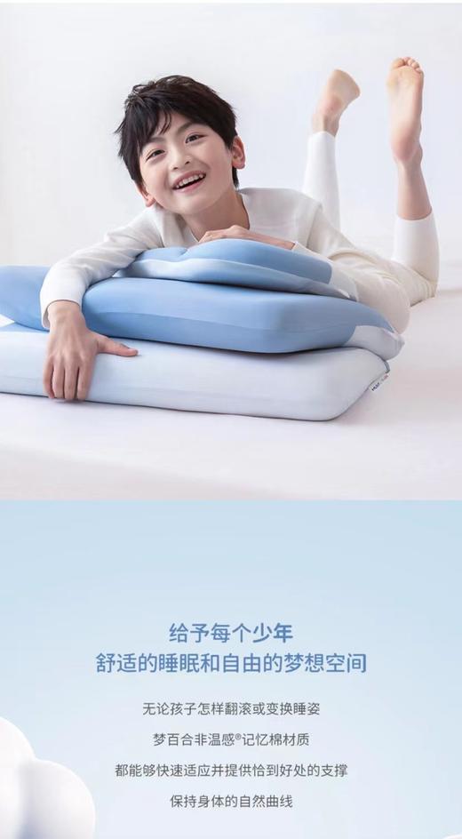 【春上新】10楼 梦百合 0压枕少年款 吊牌价339元/只 活动价288元/只 商品图2