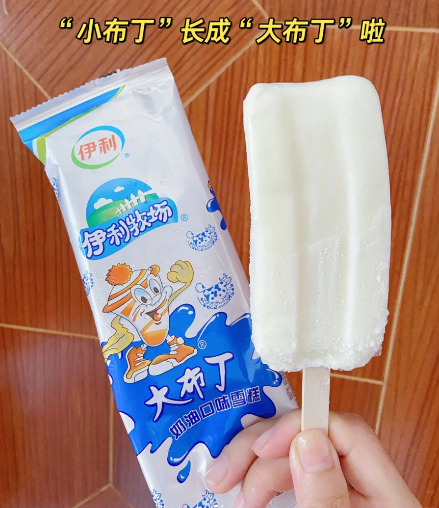 伊利大布丁（60g）