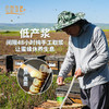 【2025新浆】青之藏蜂王浆田野牧蜂青海高原直采高活性鲜王浆蜜蜂蜂皇浆 商品缩略图2
