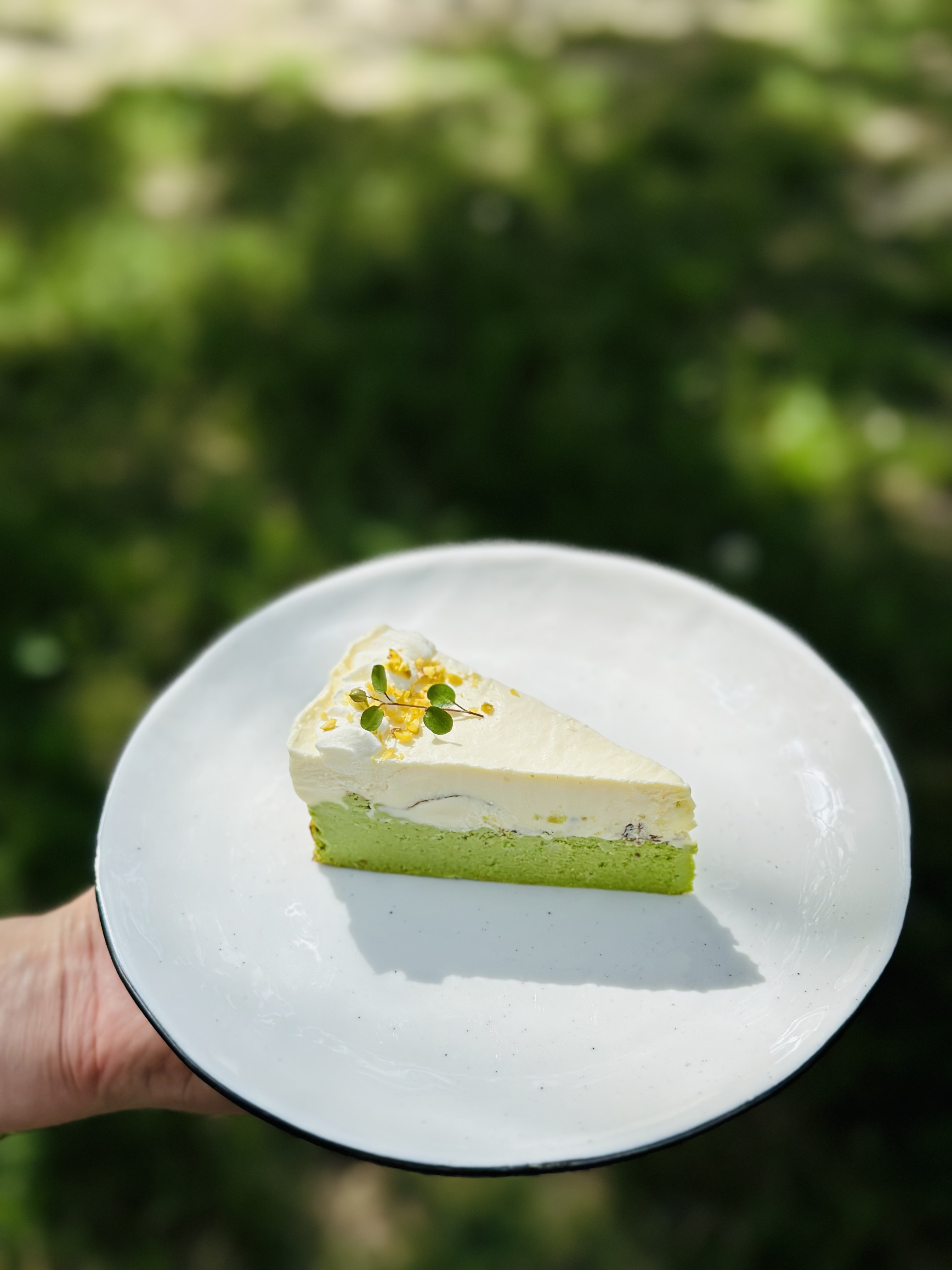 开心果柚子巴斯克