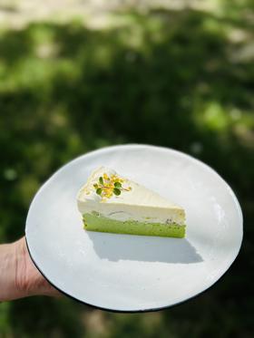 开心果柚子巴斯克