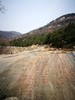 嘉德文库｜最善拓本泰山经石峪金刚经 商品缩略图2