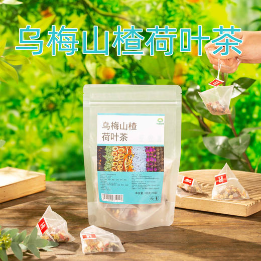 【秒杀 】好食庄园乌梅山楂荷叶茶3袋*100g(10g*10袋） 商品图0