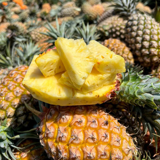 海南金钻凤梨，生态种植，甜蜜多汁，不打药，不催熟，颗颗自然成熟~ 商品图4