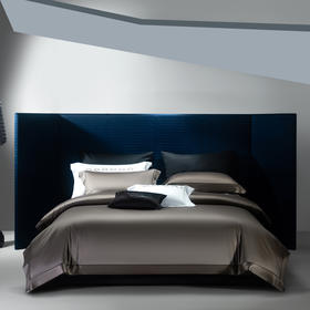 利路米新款高端奢享柔眠四件套 咖色