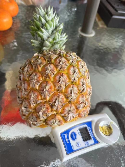 【真的很甜】 芒果凤梨  果肉蜜甜多汁，个大肉厚、香味十足，可以像切西瓜一样切着吃 9甜1酸  近乎纯甜 商品图8