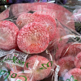 丰岛牡丹菊.粉色