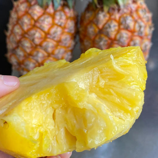 海南金钻凤梨，生态种植，甜蜜多汁，不打药，不催熟，颗颗自然成熟~ 商品图2