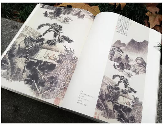 【特价包邮】清湘老人书画编年（8开珍藏画作）张大千 编 田洪 整理 商品图4