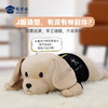 【实付满199送钥匙扣】【拉布拉多趴趴枕】创意狗狗玩偶抱枕日用靠枕靠垫一枕多用 商品缩略图1