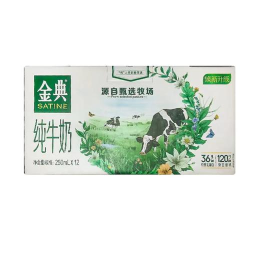 伊利金典纯牛奶250mlx12 商品图0
