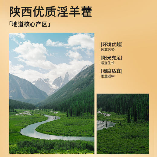 【正宗同仁堂品牌】北京同仁堂 淫羊藿50克来自陕西 裁剪整齐  清香浓郁SY 商品图5