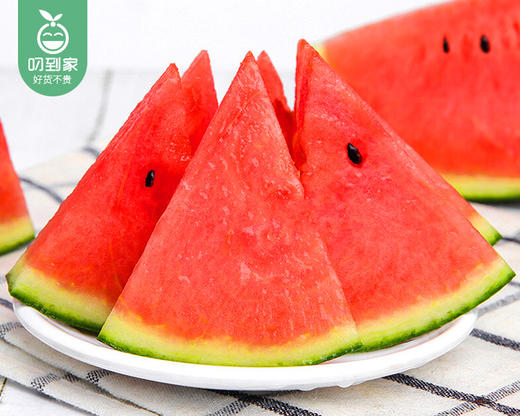 山东小糖丸西瓜/1个（2-2.5kg） 商品图2