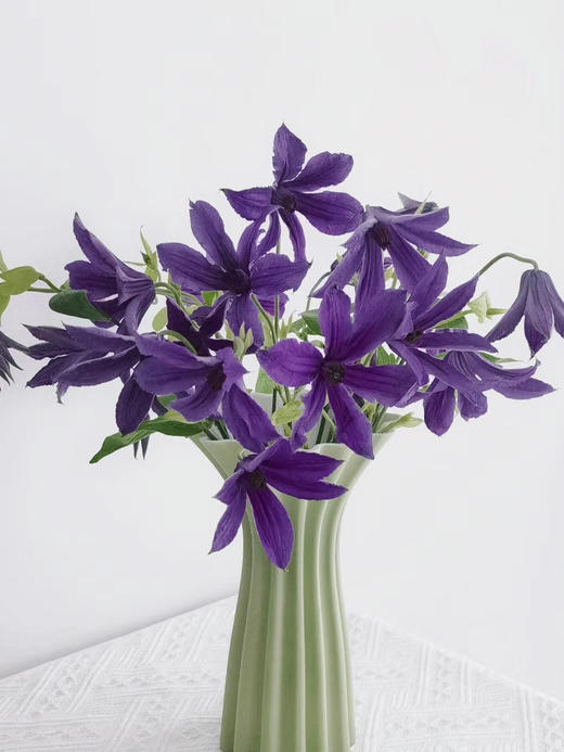 【国产】铁线莲  大花深紫色  约8枝/扎 商品图0