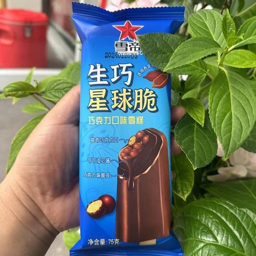 雪帝生巧星球脆75g 商品图0