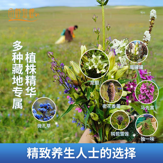 【2025新浆】青之藏蜂王浆田野牧蜂青海高原直采高活性鲜王浆蜜蜂蜂皇浆 商品图1