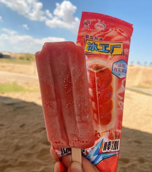 伊利冰工厂(山楂) 商品图0