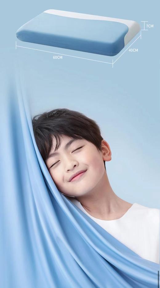 【春上新】10楼 梦百合 0压枕少年款 吊牌价339元/只 活动价288元/只 商品图1