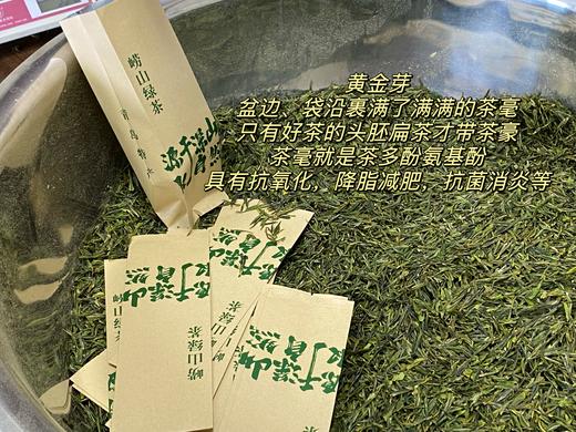 明前茶 崂山绿茶 黄金芽 阿狸自家茶园采摘 江北名茶 高档品质茶 商品图2