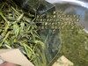 明前茶 崂山绿茶 黄金芽 阿狸自家茶园采摘 江北名茶 高档品质茶 商品缩略图4