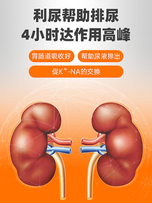 普安特犬猫利尿药 泌维纳（氢氯噻嗪片）zx 商品图4