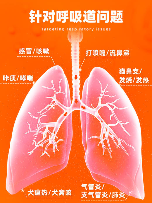 普安特阿莫西林克拉维酸钾片猫鼻支狗狗猫咪感冒药喷嚏咳消炎速克诺佳zx 商品图5