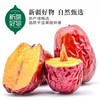 【甄选】新疆天山有机雪枣自然甘甜个大饱满500g*2袋 商品缩略图3