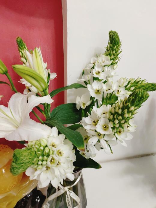 圣心百合5支 商品图2