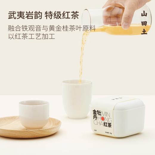 山田土丨武夷山金牡丹红茶 茶小饮系列 商品图2