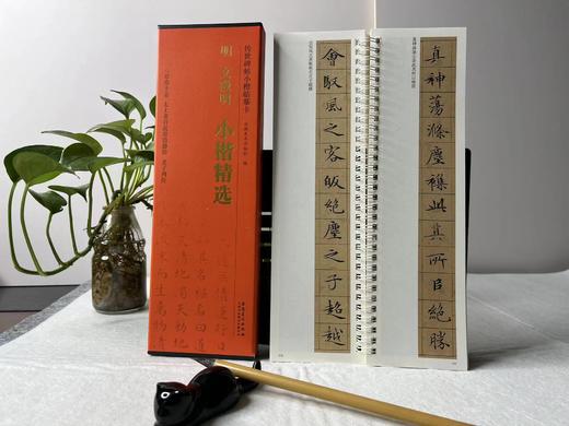 推荐书单｜传世碑帖小楷临摹卡  商品图2