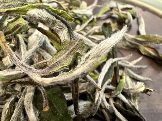 24春 顶牡·青龙山 450克 1000克 商品图5