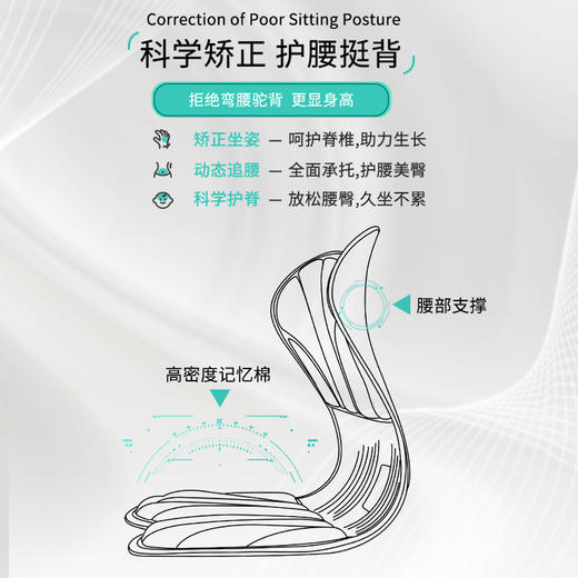 【升级款 护腰神器 坐姿垫】矫正形体，防止驼背，保护腰椎，坐着不累 市面最好版本材质 学生党上班族等久坐人群必备 商品图2