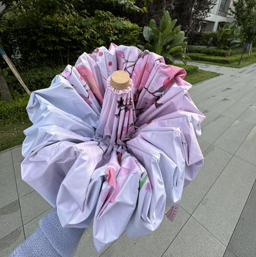 【防晒小金伞/轻型防风晴雨伞】UPF50+ 阻隔紫外线>99% 轻巧便携 多色可选 商品图6