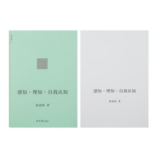 感知·理知·自我认知 陈嘉映 著 商品图4