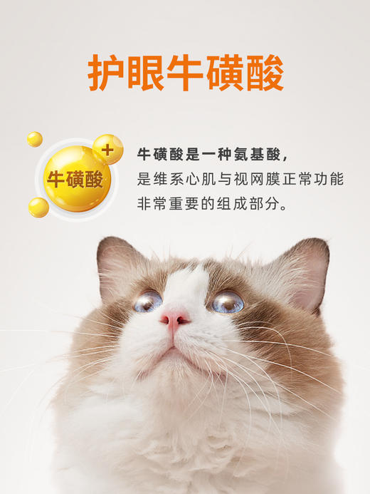 【60元任选2件】普安特赖氨酸预防猫鼻支猫咪感冒打喷嚏流泪（含量和口味有所调整） 商品图2