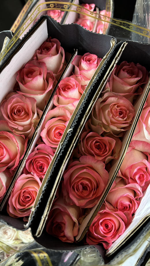 【秒杀福利】玫瑰-爱莎 20枝/扎 商品图2