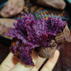 【紫薯】云南产区的大紫薯，和以往的紫薯感觉有很大区别，这个细腻甜蜜，很好吃！ 商品缩略图0
